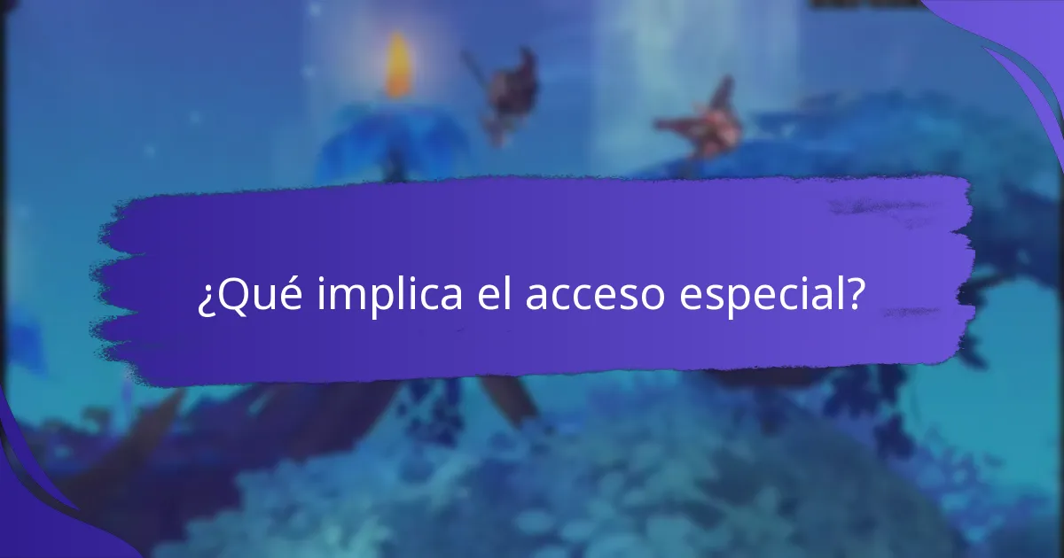 ¿Qué implica el acceso especial?